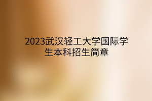 2023武漢輕工大學國際學生本科招生簡章