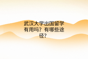 武漢大學(xué)出國留學(xué)有用嗎？有哪些途徑？