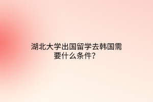 湖北大學出國留學去韓國需要什么條件？