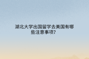 湖北大學(xué)出國留學(xué)去美國有哪些注意事項(xiàng)？