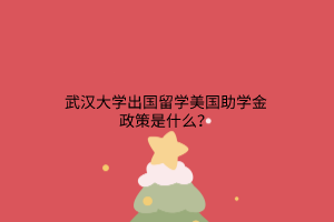 武漢大學出國留學美國助學金政策是什么？