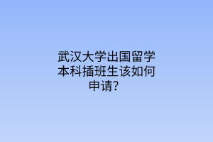 武漢大學出國留學本科插班生該如何申請？