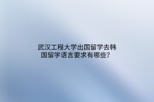 武漢工程大學(xué)出國留學(xué)去韓國留學(xué)語言要求有哪些？