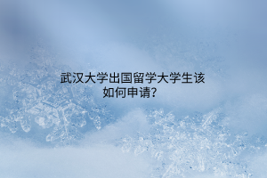 武漢大學(xué)出國(guó)留學(xué)大學(xué)生該如何申請(qǐng)？