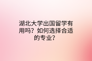 湖北大學(xué)出國留學(xué)有用嗎？如何選擇合適的專業(yè)？