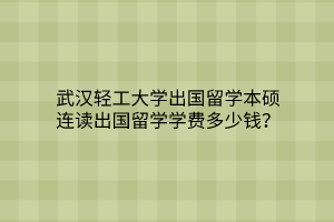 武漢輕工大學(xué)出國留學(xué)本碩連讀出國留學(xué)學(xué)費多少錢？