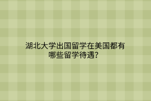 湖北大學(xué)出國留學(xué)在美國都有哪些留學(xué)待遇？