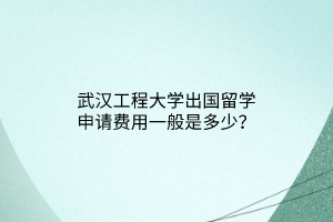 武漢工程大學(xué)出國留學(xué)申請費用一般是多少？