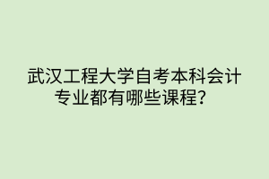 武漢工程大學(xué)自考本科會(huì)計(jì)專業(yè)都有哪些課程？
