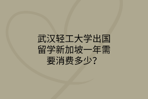 武漢輕工大學(xué)出國留學(xué)新加坡一年需要消費(fèi)多少？