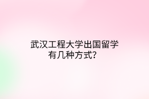 武漢工程大學(xué)出國(guó)留學(xué)有幾種方式？