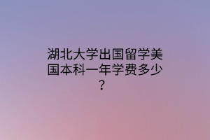 湖北大學出國留學美國本科一年學費多少？