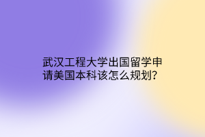 武漢工程大學(xué)出國(guó)留學(xué)申請(qǐng)美國(guó)本科該怎么規(guī)劃？