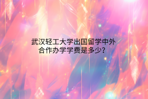 武漢輕工大學出國留學中外合作辦學學費是多少？
