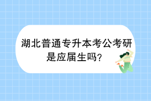湖北普通專升本考公考研是應屆生嗎？