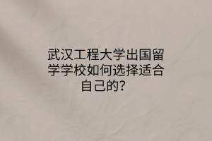 武漢工程大學(xué)出國(guó)留學(xué)學(xué)校如何選擇適合自己的？