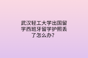 武漢輕工大學(xué)出國留學(xué)西班牙留學(xué)護(hù)照丟了怎么辦？