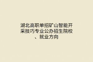 湖北高職單招礦山智能開(kāi)采技巧專(zhuān)業(yè)公辦招生院校、就業(yè)方向