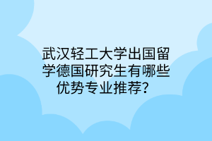 武漢輕工大學(xué)出國留學(xué)德國研究生有哪些優(yōu)勢(shì)專業(yè)推薦？