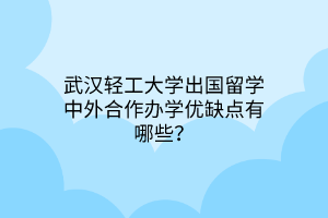 武漢輕工大學(xué)出國留學(xué)中外合作辦學(xué)優(yōu)缺點(diǎn)有哪些？