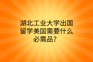 湖北工業(yè)大學(xué)出國留學(xué)美國需要什么必需品？