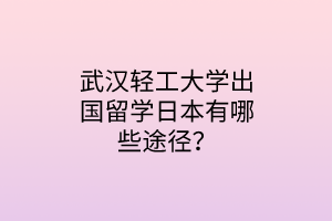 武漢輕工大學出國留學日本有哪些途徑？
