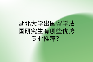 湖北大學(xué)出國留學(xué)法國研究生有哪些優(yōu)勢專業(yè)推薦？