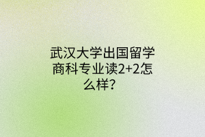 武漢大學出國留學商科專業(yè)讀2+2怎么樣？