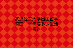 武漢輕工大學(xué)出國留學(xué)德國一年需要多少生活費(fèi)？