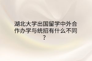 湖北大學出國留學中外合作辦學與統(tǒng)招有什么不同？