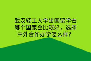 武漢輕工大學出國留學去哪個國家會比較好，選擇中外合作辦學怎么樣？