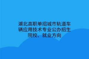 湖北高職單招城市軌道車輛應(yīng)用技術(shù)專業(yè)公辦招生院校、就業(yè)方向