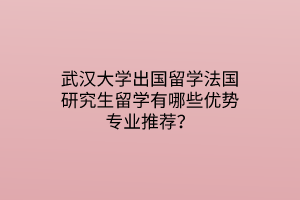 武漢大學(xué)出國留學(xué)法國研究生留學(xué)有哪些優(yōu)勢專業(yè)推薦？