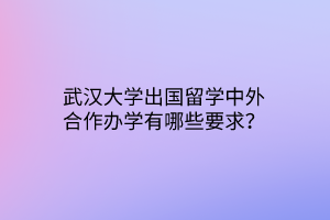 武漢大學(xué)出國留學(xué)中外合作辦學(xué)有哪些要求？