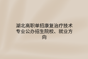 湖北高職單招康復(fù)治療技術(shù)專業(yè)公辦招生院校、就業(yè)方向
