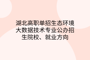 湖北高職單招生態(tài)環(huán)境大數(shù)據(jù)技術(shù)專業(yè)公辦招生院校、就業(yè)方向