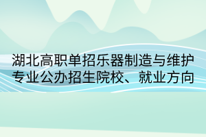 湖北高職單招樂(lè)器制造與維護(hù)專業(yè)