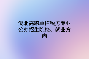 湖北高職單招稅務(wù)專業(yè)公辦招生院校、就業(yè)方向