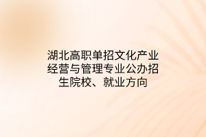 湖北高職單招文化產(chǎn)業(yè)經(jīng)營與管理專業(yè)公辦招生院校、就業(yè)方向