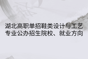湖北高職單招鞋類設(shè)計與工藝專業(yè)