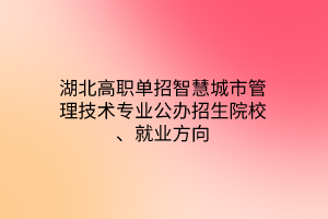 湖北高職單招智慧城市管理技術(shù)專業(yè)公辦招生院校、就業(yè)方向