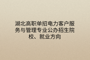 湖北高職單招電力客戶服務(wù)與管理專業(yè)公辦招生院校、就業(yè)方向