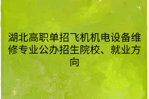 湖北高職單招飛機機電設(shè)備維修專業(yè)公辦招生院校、就業(yè)方向