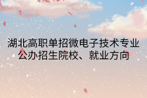 湖北高職單招微電子技術(shù)專業(yè)公辦招生院校、就業(yè)方向