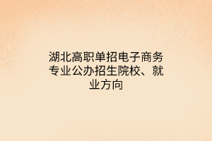 湖北高職單招電子商務(wù)專業(yè)公辦招生院校、就業(yè)方向