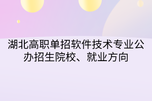 湖北高職單招軟件技術(shù)專業(yè)公辦招生院校、就業(yè)方向