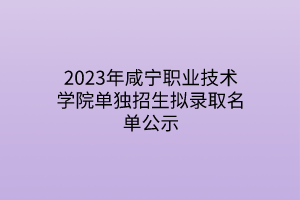 2023年咸寧職業(yè)技術(shù)學(xué)院單獨招生擬錄取名單公示