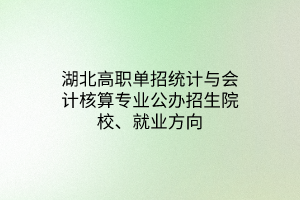 湖北高職單招統(tǒng)計(jì)與會(huì)計(jì)核算專業(yè)公辦招生院校、就業(yè)方向