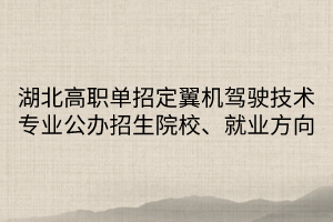 湖北高職單招定翼機(jī)駕駛技術(shù)專業(yè)公辦招生院校、就業(yè)方向（1）