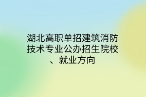 湖北高職單招建筑消防技術(shù)專(zhuān)業(yè)公辦招生院校、就業(yè)方向